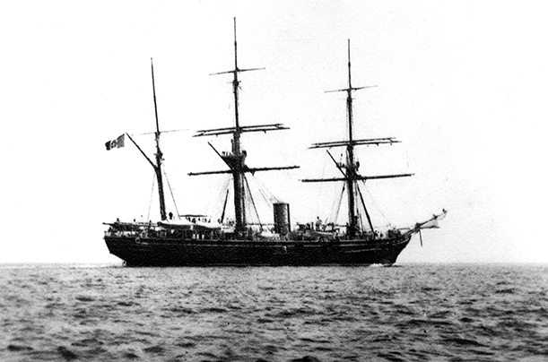 FLAVIO GIOIA
