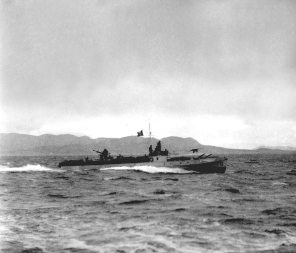 MS 7D