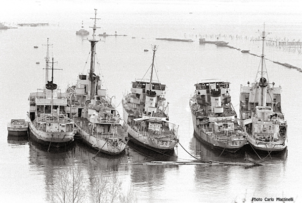 ERCOLE, ORSA, DRIADE, DANAIDE, GAZZELLA