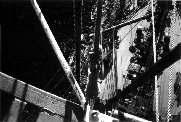 AMERIGO VESPUCCI (2)