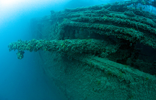SMS ZENTA