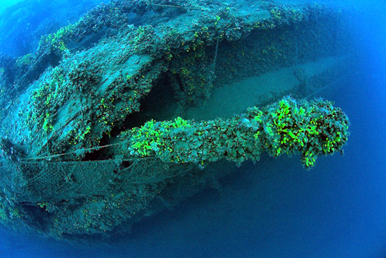 SMS ZENTA