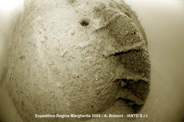 REGINA MARGHERITA