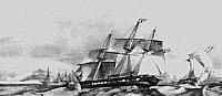 CARLO ALBERTO (1)