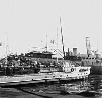 MS 7D