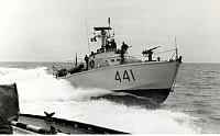 MS 441