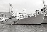 ALBATROS (3)