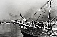 MMS 135