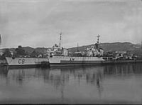 ANIMOSO (2)