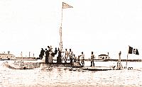 DELFINO (1°)