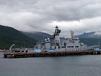 SENJA W 321