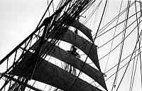 AMERIGO VESPUCCI (2)