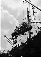 HSS-1N (26)